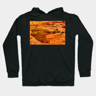 Arizona Desert Oasis Hoodie